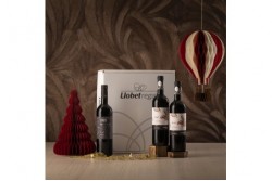 C-32 VINOS D.O PLA DE BAGES - PROYECTO SOCIAL
