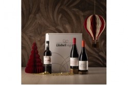 C-3 VINOS D.O PLA DE BAGES