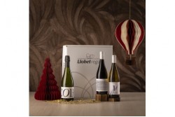 C-37 VINOS & CAVA - PROYECTO SOCIAL