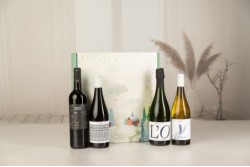 CAJA C-37 VINOS Y CAVAS DE...