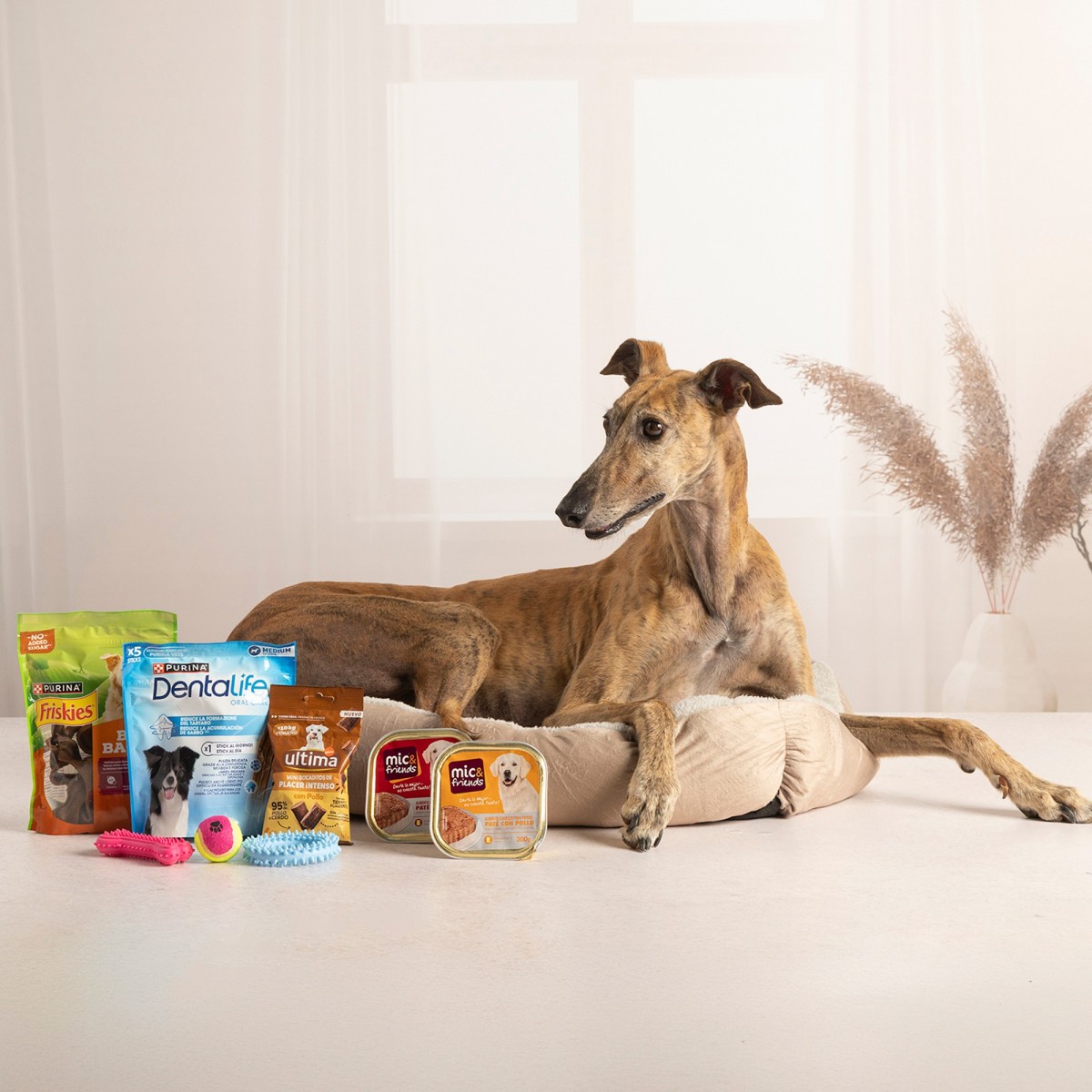 LOTE DE NAVIDAD MASCOTA GUAU LMG-2
