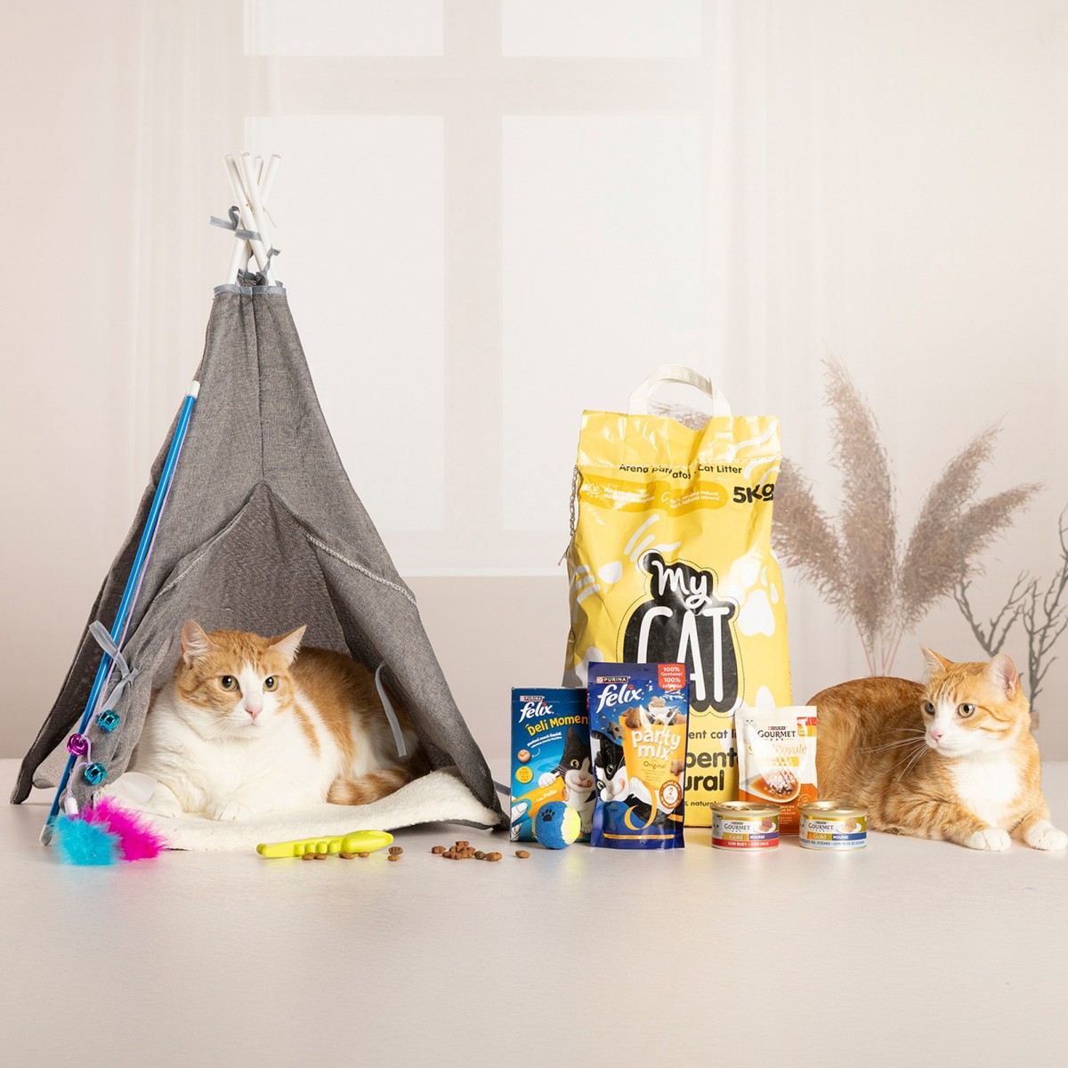 LOTE MASCOTA MIAU LMM-1